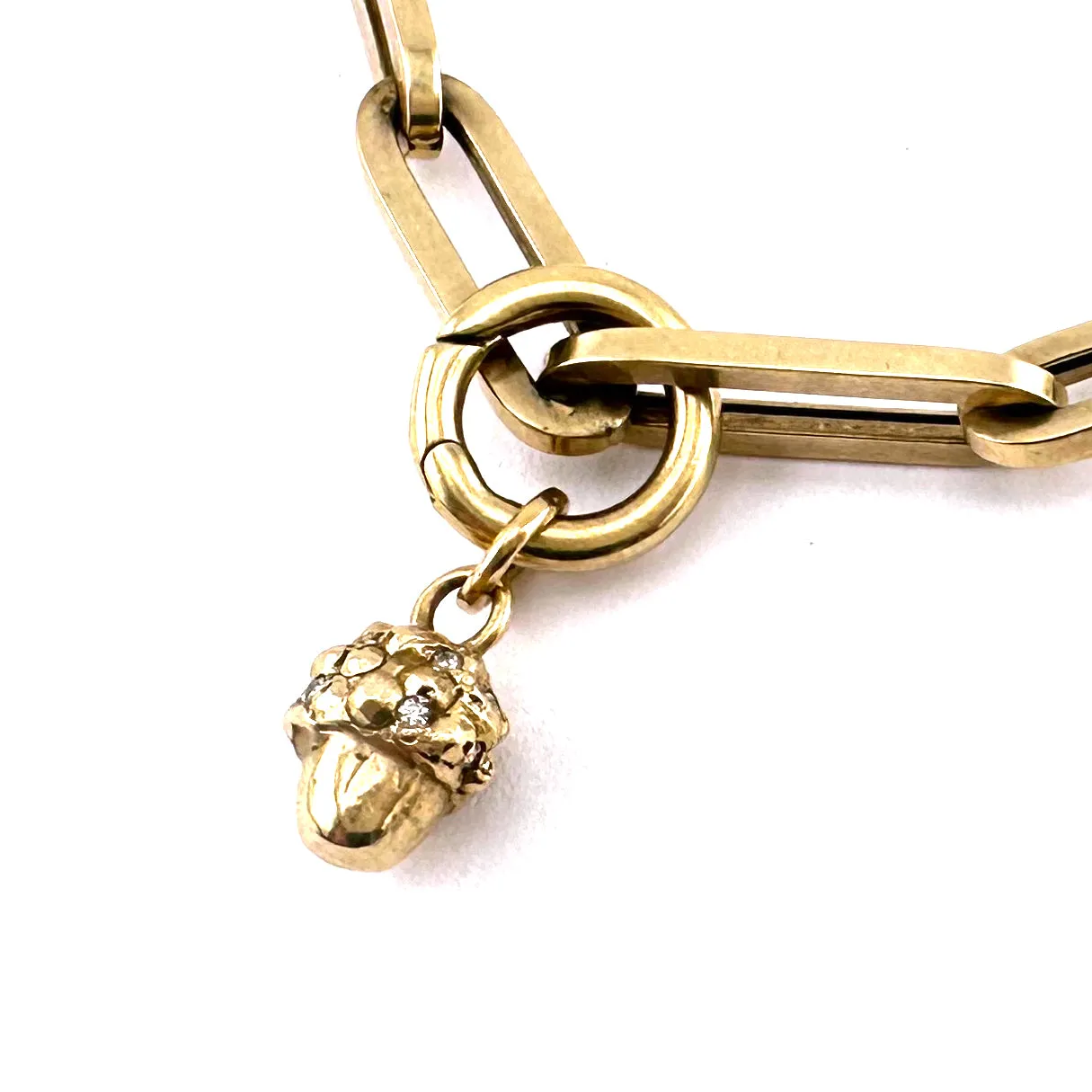 Diamond ACORN Paperclip Charm Bracelet - 14k Gold