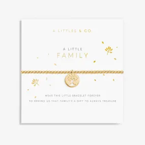 KATIE LOXTON FAMILY BRACELET